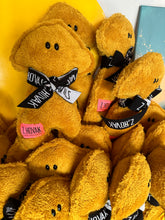 Load image into Gallery viewer, C1P Fuzzy AR Plushie Art Toy