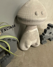 Load image into Gallery viewer, Concrete Heart "EDITION II"