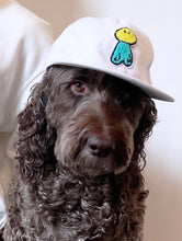 Load image into Gallery viewer, WHITE C1P CAP